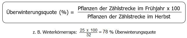 Formel: Überwinterungsquote in % ist gleich Pflanzen der Zählstrecke im Frühjahr mal 100 dividiert durch Pflanzen der Zählstrecke im Herbst Beispiel Winterkörnerraps 25 mal 100 durch 32 ist gleich 78% Überwinterungsquote
