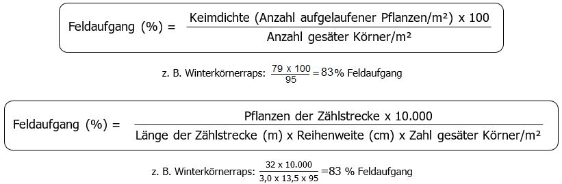Formel 1: Feldaufgang in % ist gleich Keimdichte (Anzahl aufgelaufener Pflanzen pro Quadartmeter) mal 100 durch Anzahl gesäter Körner pro Quadratmeter Beispiel Winterkörnerraps: 79 mal 100 durch 95= 83% Feldaufgang Formel 2: Feldaufgang in % ist gleich Pflanzen der Zählstrecke mal 10000 dividiert durch Klammer auf Länge der Zählstrecke in Meter mal Reihenweite in Zentimeter mal Zahl gesäter Körner pro Quadratmeter Klammer zu. Beispiel Winterkörnerraps: 32 mal 10000 durch Klammer auf 3,0 mal 13,5 mal 95 Klammer zu ist gleich 83% Feldaufgang