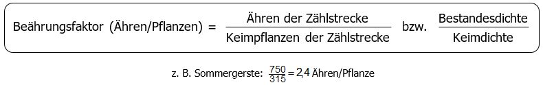 Formel: Beährungsfaktor (Ähren/Pflanze) ist gleich Ähren der Zählstrecke dividiert durch Keimpflanzen der Zählstrecke oder Bestandesdichte dividiert durch Keimdichte Beispiel: Sommergerste: 750 durch 315 ist gleich 2,4 Ähren pro Pflanze