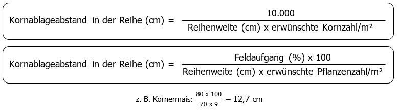 Erste Formel: Kornablageabstand in der Reihe in Zentimeter ist gleich 10000 dividiert durch Klammer auf Reihenweite in Zentimeter mal erwünschte Kornzahl pro Quadratmeter Klammer zu. Zweite Formel: Kornablageabstand in der Reihe in Zentimeter ist gleich Feldaufgang in % mal 100 dividiert durch Klammer auf Reihenweite in Zentimeter mal erwünschte Pflanzenzahl pro Quadratmeter Klammer zu. Beispiel: Körnermais: 80 mal 100 durch Klammer auf 70 mal 9 Klammer zu ist gleich 12,7 cm