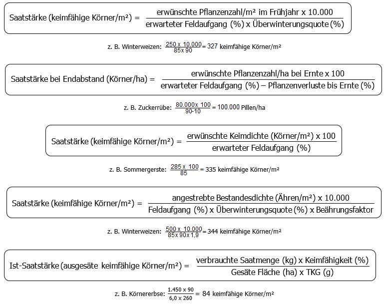 Formel Nummer eins: Saatstärke (keimfähige Körner pro Quadratmeter) ist gleich erwünschte Pflanzenzahl pro Quadratmeter im Frühjahr mal 10000 dividiert durch Klammer auf erwarteter Feldaufgang in % mal Überwinterungsquote in % Klammer zu. Beispiel Winterweizen: 250 mal 10000 durch Klammer auf 85 mal 90 Klammer zu ist gleich 327 keimfähige Körner pro Quadratmeter. Formel Nummer zwei: Saatstärke bei Endabstand (Körner pro Hektar) ist gleich erwünschte Pflanzenzahl pro Hektar bei Ernte mal 100 dividiert durch Klammer auf erwarteter Feldaufgang in % minus Pflanzenverluste bis Ernte in % Klammer zu. Beispiel Zuckerrübe: 80000 mal 100 durch Klammer auf 90 minus 10 ist gleich 100000 Pillen pro Hektar. Formel Nummer drei: Saatstärke (keimfähige Körner pro Quadratmeter) ist gleich erwünschte Keimdichte (Körner pro Quadratmeter) mal 100 dividiert durch erwarteter Feldaufgang in % Beispiel Sommergerste: 285 mal 100 durch 85 ist gleich 335 keimfähige Körner pro Quadratmeter Formel Nummer 4: Saatstärke (keimfähige Körner pro Quadratmeter) ist gleich angestrebte Bestandesdichte (Ähren pro Quadratmeter) mal 10000 dividiert durch Klammer auf Feldaufgang in % mal Überwinterungsquote in % mal Beährungsfaktor Klammer zu. Beispiel Winterweizen: 500 mal 10000 durch Klammer auf 85 mal 90 mal 1,9 ist gleich 344 keimfähige Körner pro Quadratmeter Formel Nummer 5: Ist-Saatstärke (ausgesäte keimfähige Körner pro Quadratmeter) ist gleich verbrauchte Saatmenge in Kilogramm mal Keimfähigkeit in % dividiert durch Klammer auf Gesäte Fläche in Hektar mal Tausendkorngewicht in Gramm. Beispiel: Körnererbse: 1450 mal 90 durch Klammer auf 6,0 mal 260 ist gleich 84 keimfähige Körner pro Quadratmeter