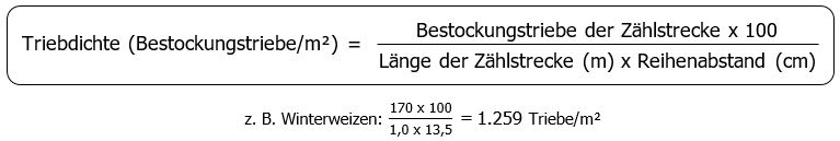 Formel: Triebdichte Bestockungstriebe pro Quadratmeter ist gleich Bestockungstriebe der Zählstrecke mal 100 dividiert durch Klammer auf Länge der Zählstrecke in Meter mal Reihenabstand in Zentimeter Klammer zu.  Beispiel Winterweizen: 170 mal 100 durch Klammer auf 1,0 mal 13,5 Klammer zu ist gleich Tausend Zwei Hundert 59 Triebe pro Quadratmeter.