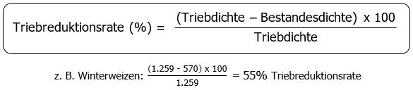 Formel: Triebreduktionsrate in % ist gleich Klammer auf Triebdichte minus Bestandesdichte Klammer zu mal 100 dividiert durch Triebdichte Beispiel Winterweizen Tausend Zwei Hundert 59 minus 570 mal 100 durch Tausend Zwei Hundert 59 ist gleich 55% Triebreduktionsrate