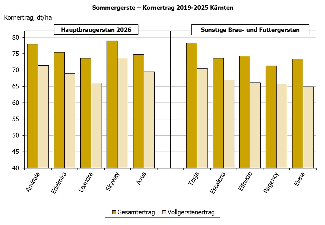 Sommergerste Kornertrag in Kärnten