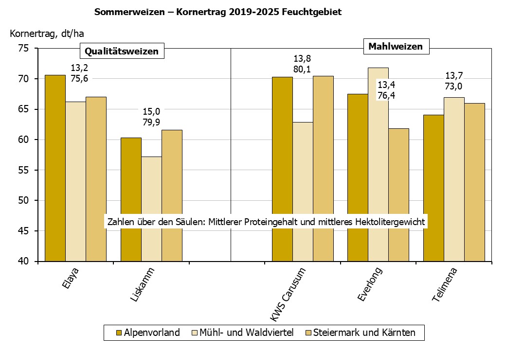 Sommerweizen Kornertrag im Feuchtgebiet
