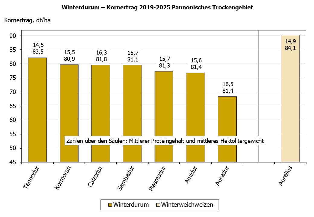 Winterdurum Kornertrag