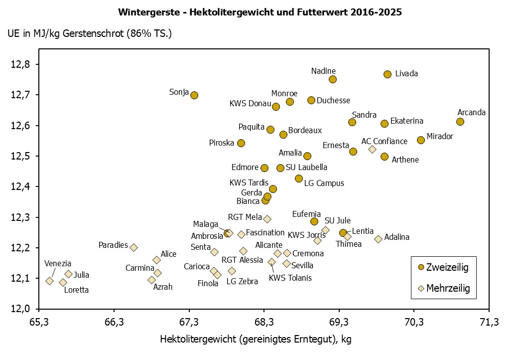 Wintergerste Hektolitergewicht und Futterwert