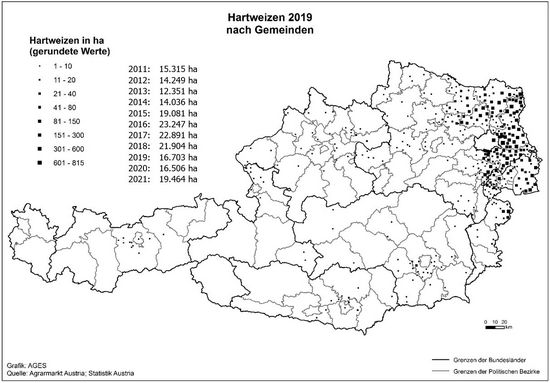 © AGES Österreichkarte, Hartweizen-Anbaugebiete 2019 eingezeichnet nach Gemeinden und Hektar, die vorherige Tabelle enthält aktuelle Daten