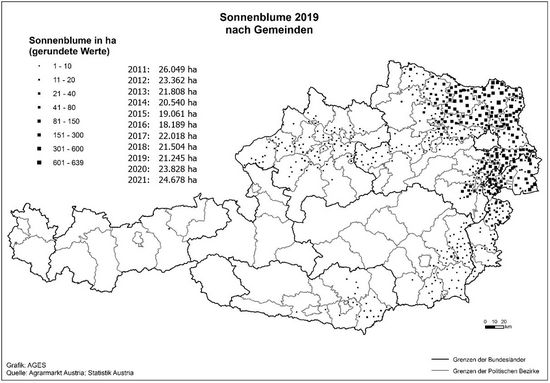 © AGES Österreichkarte, Sonnenblumen-Anbaugebiete 2019 eingezeichnet nach Gemeinden und Hektar, die vorherige Tabelle enthält aktuelle Daten