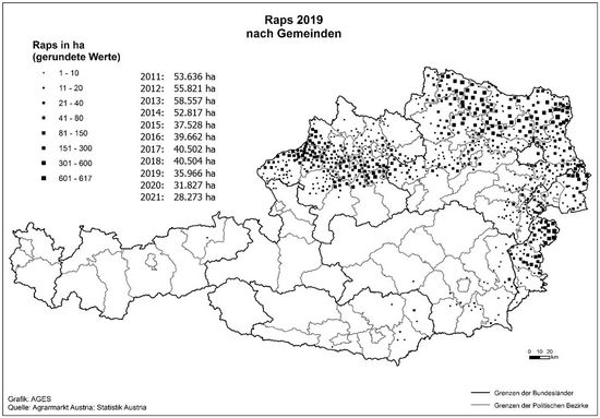 © AGES Österreichkarte, Raps-Anbaugebiete 2019 eingezeichnet nach Gemeinden und Hektar, die vorherige Tabelle enthält aktuelle Daten