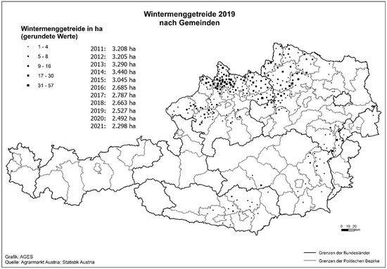 © AGES Österreichkarte, Wintermenggetreide-Anbaugebiete 2019 eingezeichnet nach Gemeinden und Hektar, die vorherige Tabelle enthält aktuelle Daten
